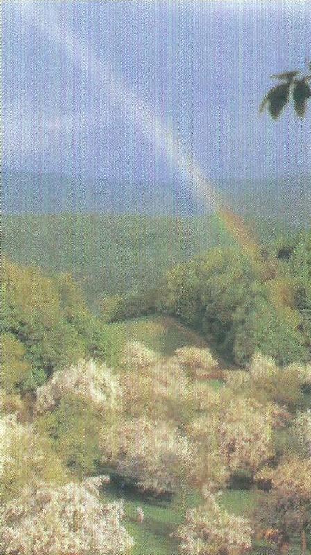 Kenneth J. Hoffman Obituary - Union, NJ