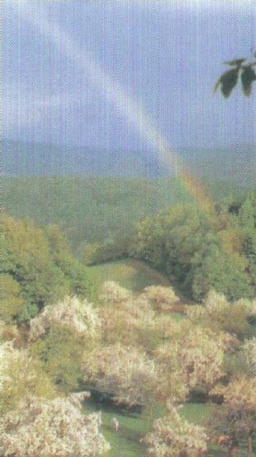 Obituary of Kenneth J. Hoffman