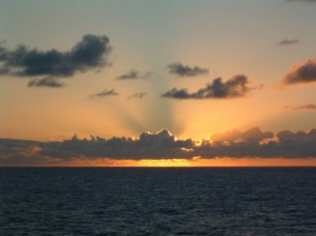 Obituary of Philip Rajchenberg Rybak