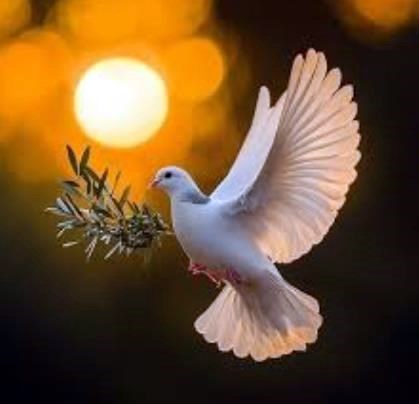 Obituary of Alicia R. Cena