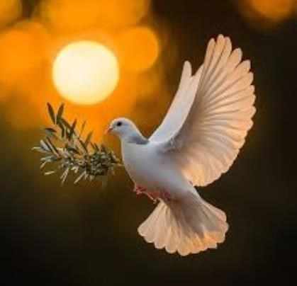 Obituary of Alicia R. Cena