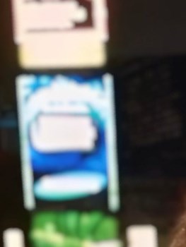 Elizabeth Ann Romer Obituary - Newton, NJ