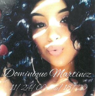 Obituary of Dominique Christine Martinez