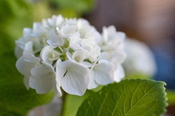 Obituary of John Paul Manetta