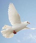 Obituary of Michael E. Tuggle