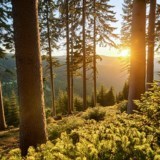 Obituary of William Brown Vissage