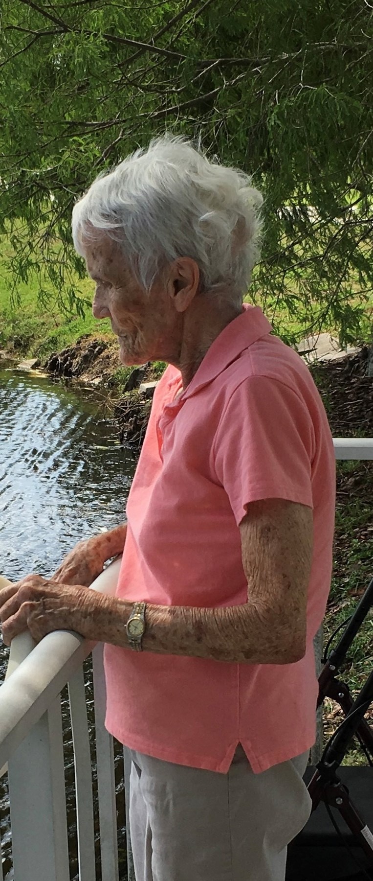 Obituary of Louise Davidson Norcross