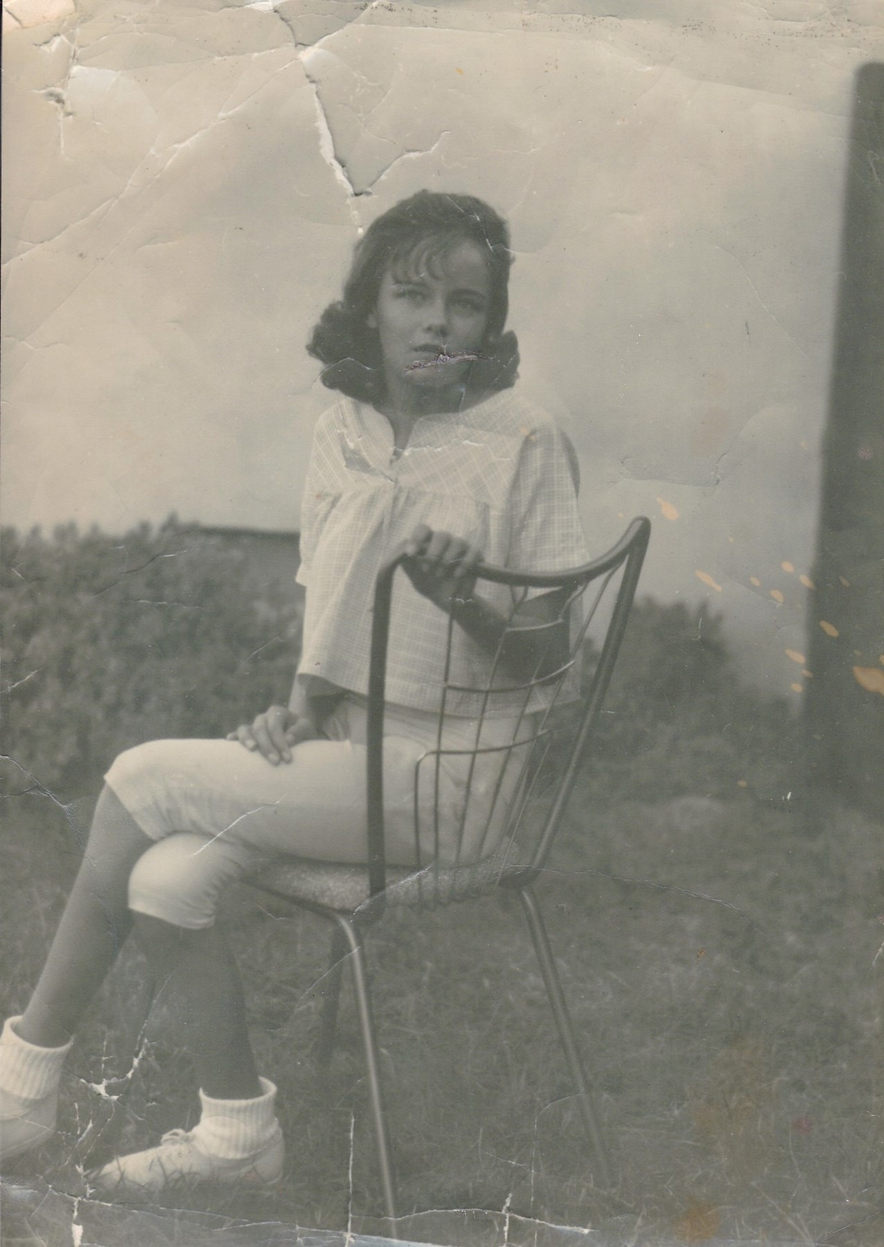 Obituary of Sandra Lynn Vanderlinden