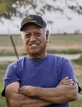Obituary of Luis Bojorquez