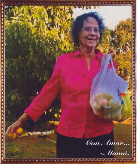 Obituary of Maria De Jesus Jimenez