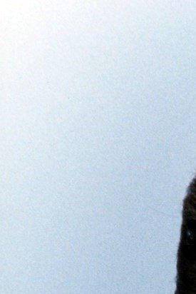 Edith Hille Obituary Fort Wayne, IN