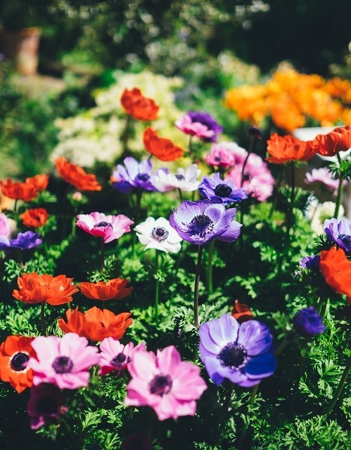 Obituary of Terica Love Strickland