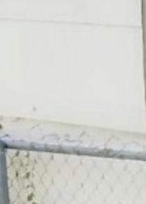 Yolanda Rolon Obituary - Orlando, FL