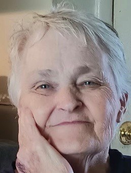 Obituary of Linda Susan Willis