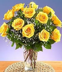 Obituary of Dorothy Johnston