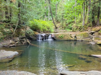 Obituary of Phillip James O'Connor