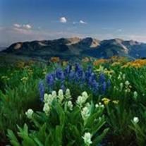 Obituary of Frank Douglas Jerman