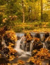 Obituary of Gary Douglas Donoho