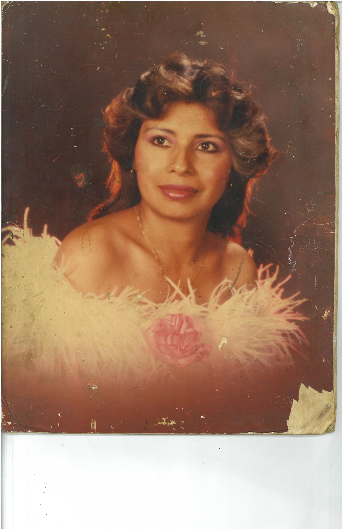 Obituary of Rosa De Jesus Castellon