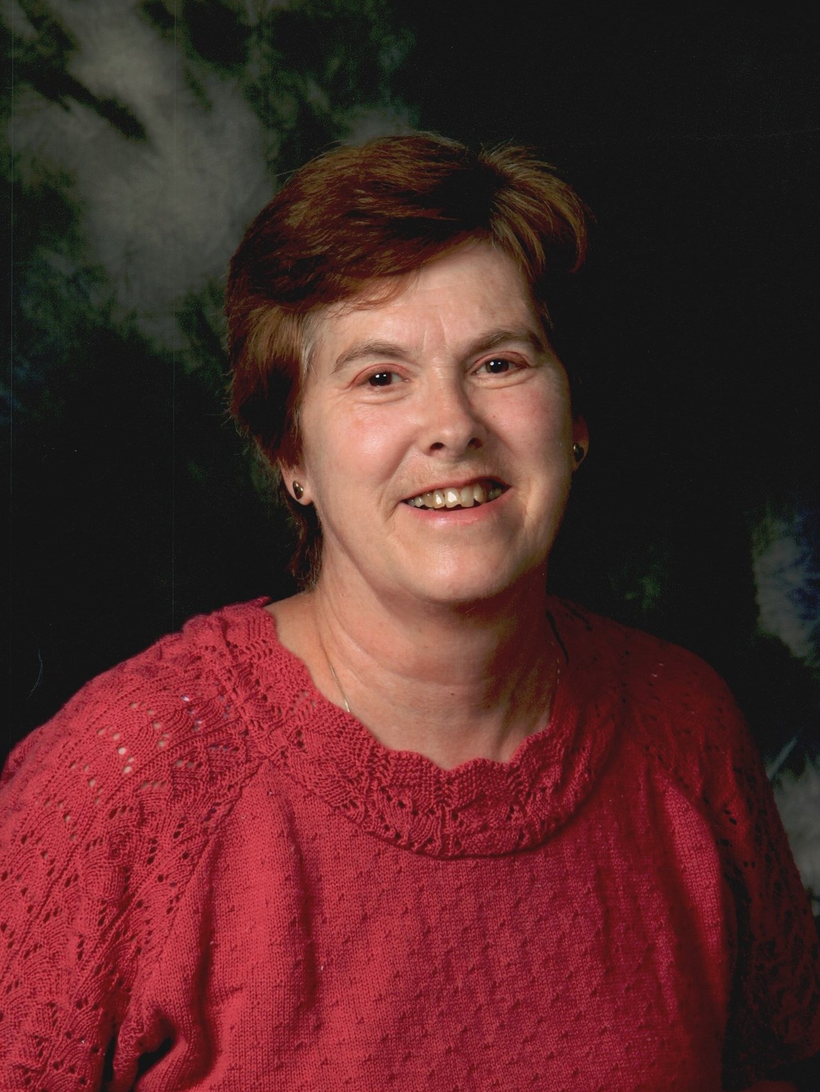 Jean D. Ransom Obituary Branchville, NJ