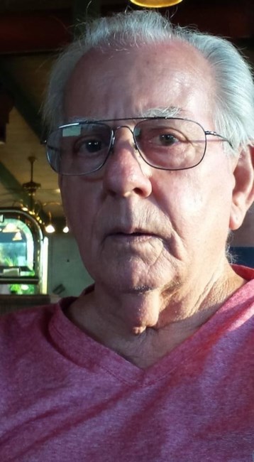 Obituary of Louis Vasile Feher III