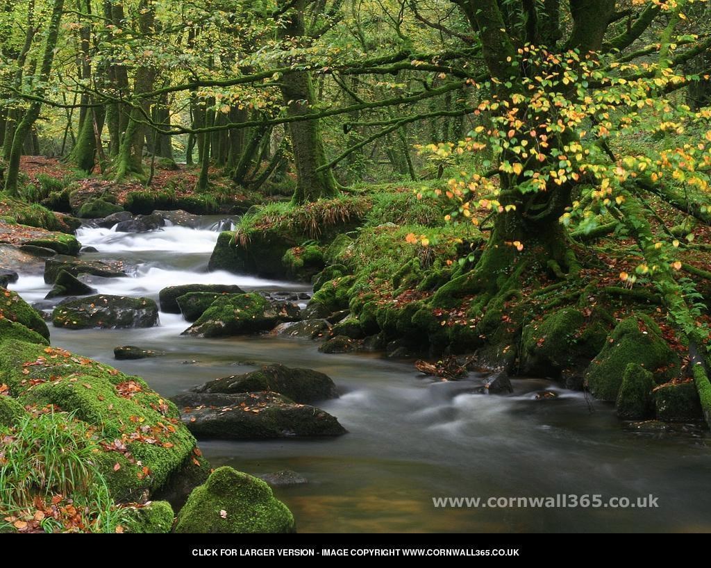 Obituary of Walter Thomas Golbin