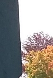 Mary Rutherford Obituary - Peterborough, ON