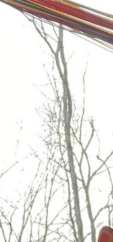 José Trinidad Bonilla