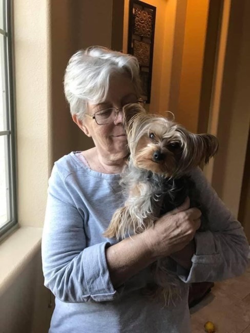 Obituary of Deborah Jean Hawley