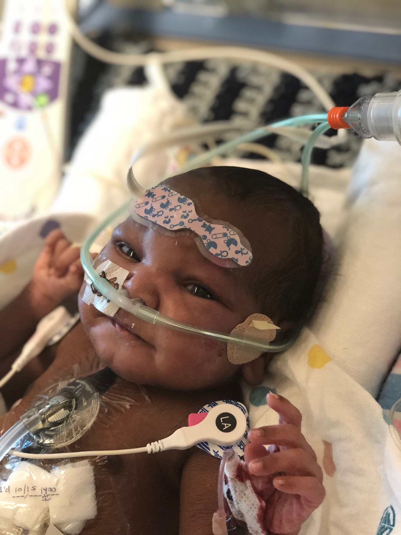 Obituary of Liam James Champion