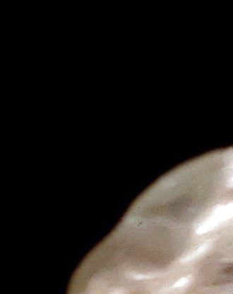 Callahan Edfast Mortuary Obituaries