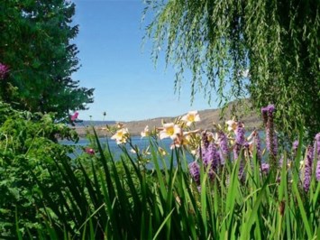 Obituary of Don E. Childs