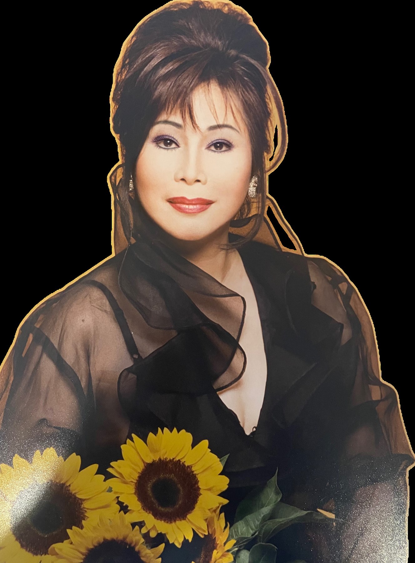 Image Ngô Phương Ly image beautiful image beautiful image beautiful image beautiful image beautiful - Bich Nguyen Obituary - Houston, TX