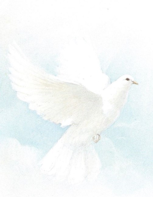 Obituary of Gloria A. Knapp