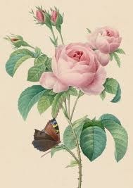 Obituary of Alina F Quintero