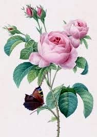 Obituary of Aida Luz Martinez