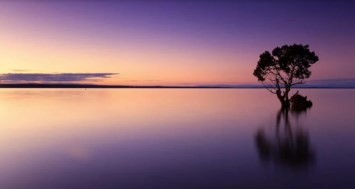 Obituary of Jesus Francisco Zuniga