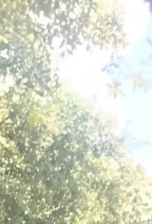 Gaurav Singh Obituary Webster, TX