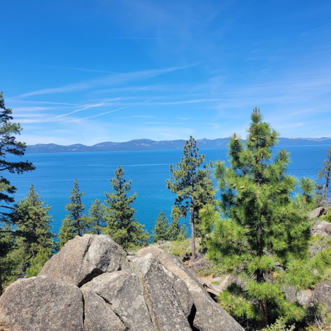 Obituary of Patrick John Howerton Jr.