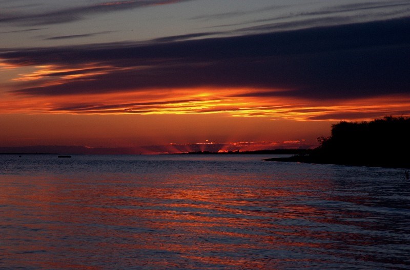 Obituary of Johnny Junior Young