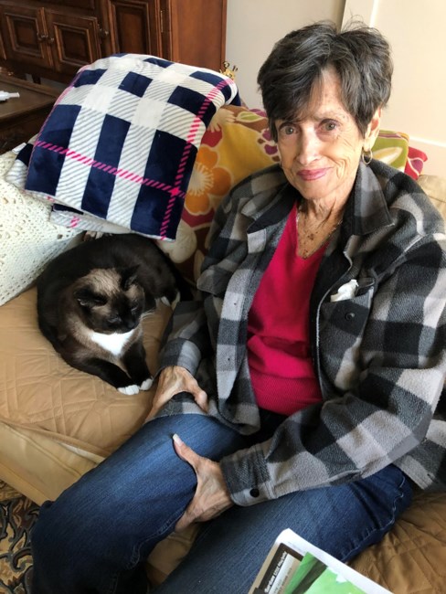 Obituary of Patricia J. Halley