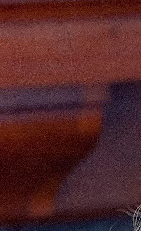 Dr. Anne Sorrell Dent Obituary - Atlanta, GA