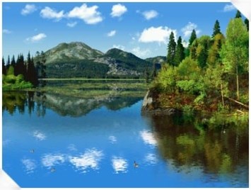 Obituary of Shirley Kramer