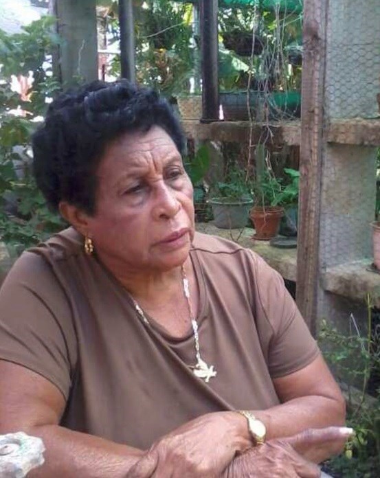 Felicita Cruz Lozada Obituary - Canovanas, PR