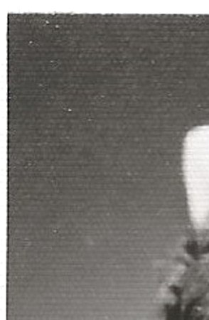 Marilynn Gerloff Obituary - Sugar Land, TX