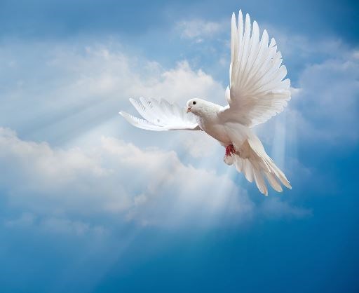 Obituary of Julia Rubio Hernandez