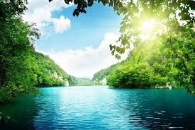 Obituary of John Rosati