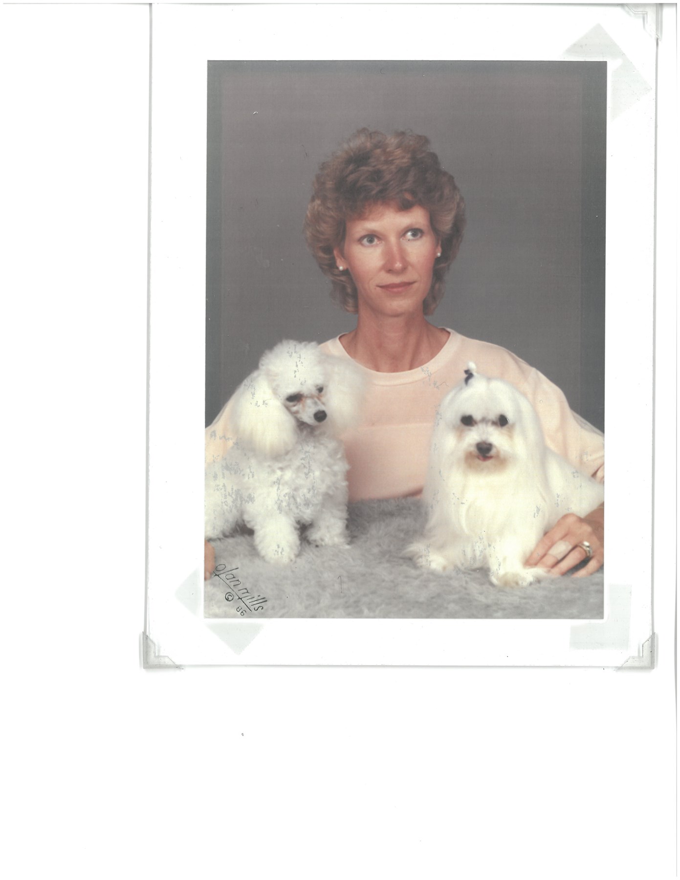 Obituary of Linda Ann Suniga