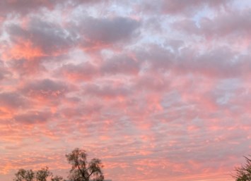 Obituary of Michael Chad Marshall