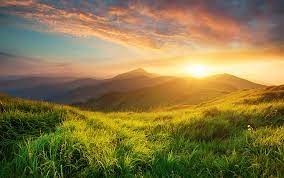 Obituary of Steve Frank Maslowski